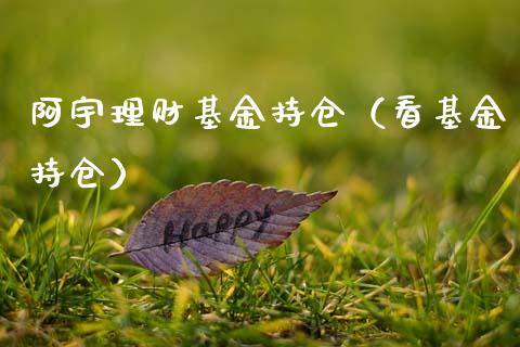 阿宇理财基金持仓（看基金持仓）_https://www.apanben.com_国际财经_第1张