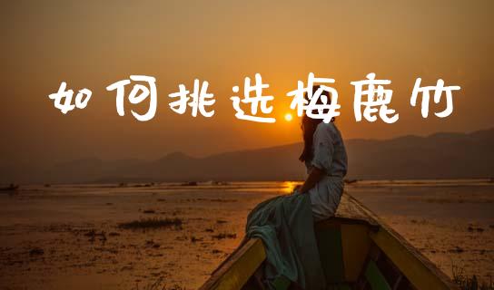 如何挑选梅鹿竹_https://www.apanben.com_在线喊单_第1张