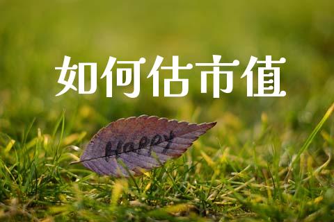 如何估市值_https://www.apanben.com_股市分析_第1张