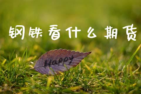 钢铁看什么期货_https://www.apanben.com_国际期货_第1张