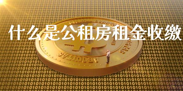 什么是公租房租金收缴_https://www.apanben.com_股市指导_第1张
