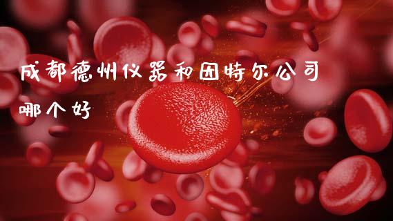 成都德州仪器和因特尔公司哪个好_https://www.apanben.com_国际期货_第1张