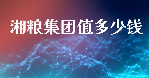 湘粮集团值多少钱_https://www.apanben.com_国际财经_第1张