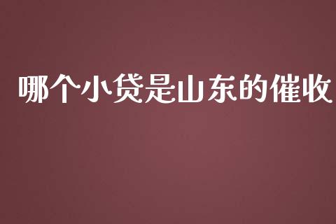 哪个小贷是山东的催收_https://www.apanben.com_国际财经_第1张