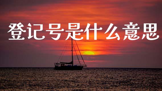 登记号是什么意思_https://www.apanben.com_国际财经_第1张