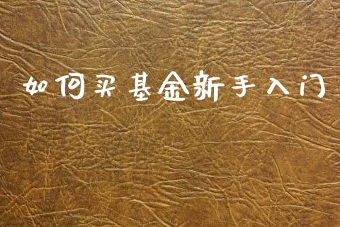 如何买基金新手入门_https://www.apanben.com_期货学院_第1张