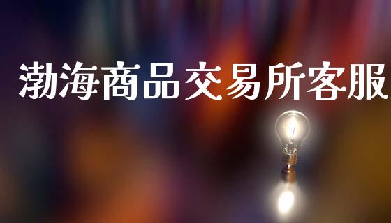 渤海商品交易所客服_https://www.apanben.com_股市指导_第1张