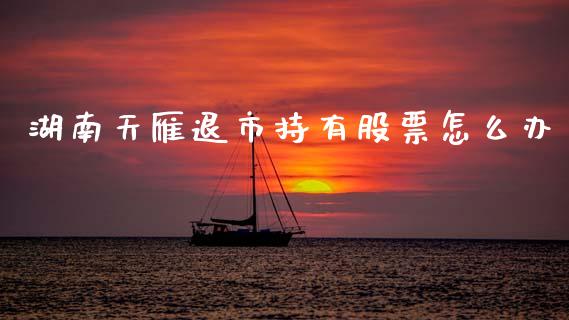 湖南天雁退市持有股票怎么办_https://www.apanben.com_期货学院_第1张