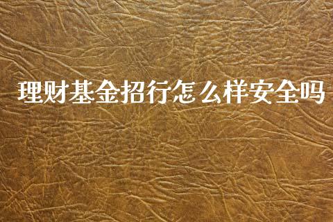 理财基金招行怎么样安全吗_https://www.apanben.com_国际财经_第1张