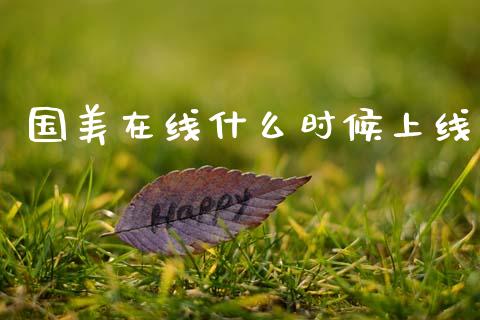 国美在线什么时候上线_https://www.apanben.com_国际财经_第1张