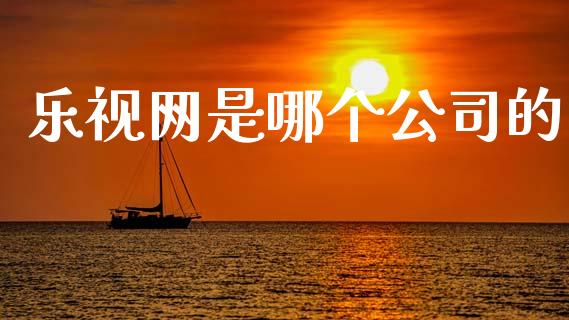 乐视网是哪个公司的_https://www.apanben.com_股市分析_第1张