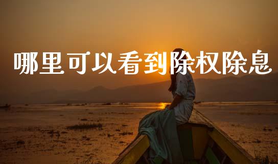 哪里可以看到除权除息_https://www.apanben.com_股市分析_第1张