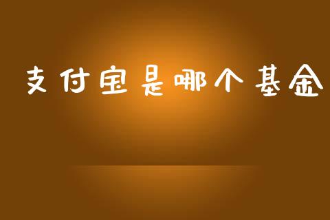 支付宝是哪个基金_https://www.apanben.com_股票怎么玩_第1张
