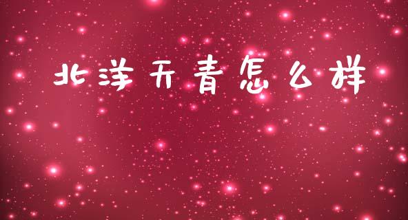 北洋天青怎么样_https://www.apanben.com_在线喊单_第1张