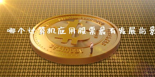 哪个计算机应用股票最有发展前景_https://www.apanben.com_财经资讯_第1张