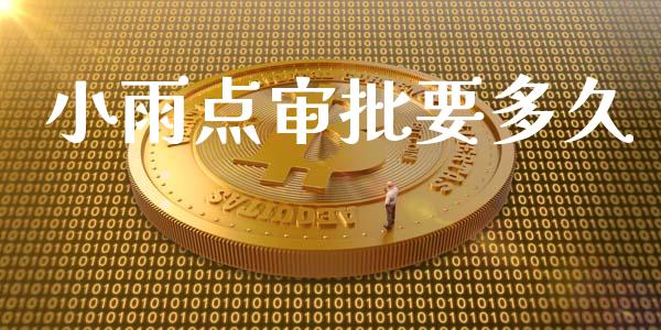 小雨点审批要多久_https://www.apanben.com_国际期货_第1张