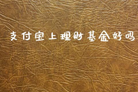 支付宝上理财基金好吗_https://www.apanben.com_国际财经_第1张