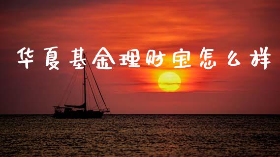 华夏基金理财宝怎么样_https://www.apanben.com_国际财经_第1张