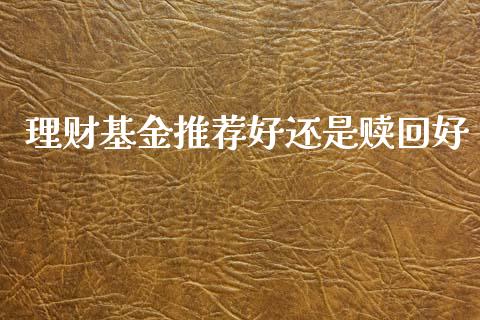 理财基金推荐好还是赎回好_https://www.apanben.com_财经资讯_第1张