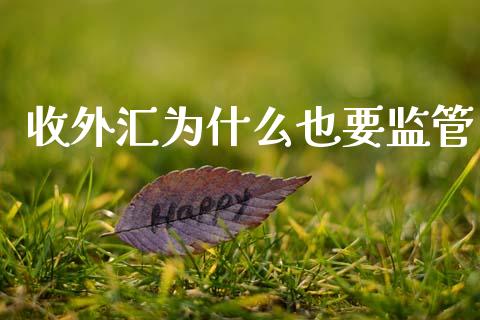 收外汇为什么也要监管_https://www.apanben.com_股市分析_第1张