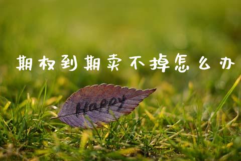 期权到期卖不掉怎么办_https://www.apanben.com_期货学院_第1张