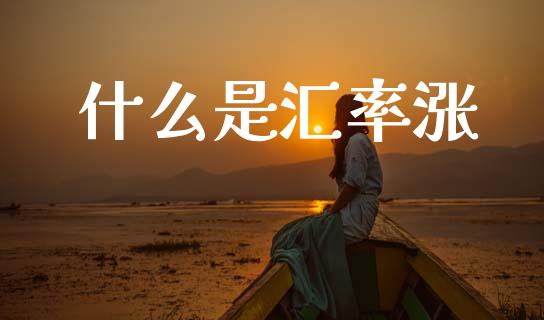 什么是汇率涨_https://www.apanben.com_国际期货_第1张