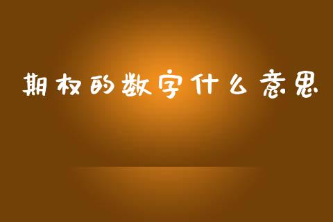 期权的数字什么意思_https://www.apanben.com_国际期货_第1张