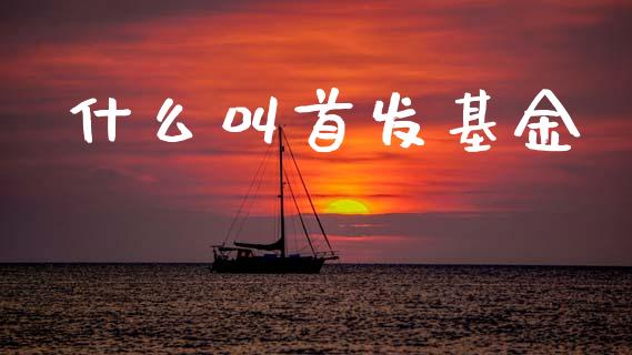 什么叫首发基金_https://www.apanben.com_股票怎么玩_第1张