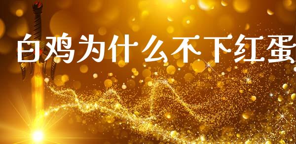 白鸡为什么不下红蛋_https://www.apanben.com_股市分析_第1张