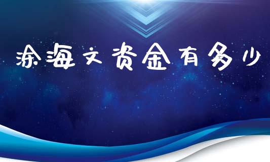 涂海文资金有多少_https://www.apanben.com_在线喊单_第1张