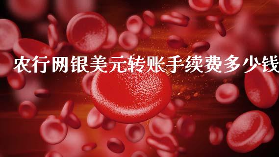 农行网银美元转账手续费多少钱_https://www.apanben.com_股市指导_第1张