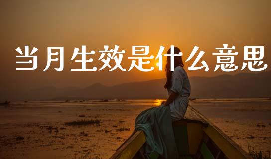 当月生效是什么意思_https://www.apanben.com_股市指导_第1张