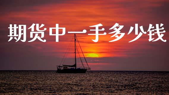 期货中一手多少钱_https://www.apanben.com_股市分析_第1张