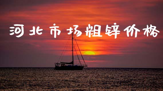 河北市场粗锌价格_https://www.apanben.com_财经资讯_第1张