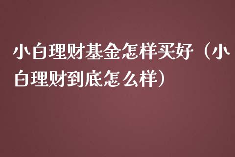 小白理财基金怎样买好（小白理财到底怎么样）_https://www.apanben.com_财经资讯_第1张