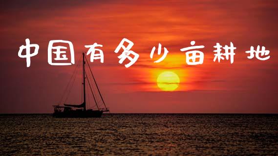 中国有多少亩耕地_https://www.apanben.com_期货学院_第1张