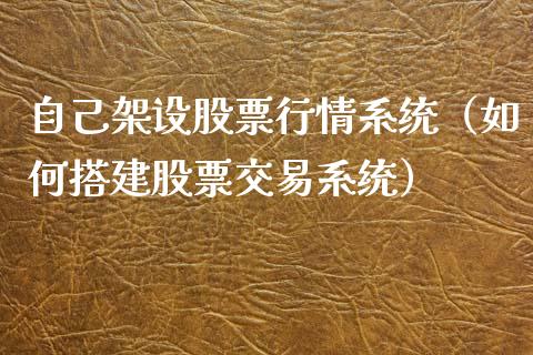 自己架设股票行情系统（如何搭建股票交易系统）_https://www.apanben.com_股市分析_第1张