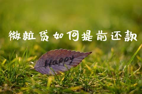 微粒贷如何提前还款_https://www.apanben.com_财经资讯_第1张