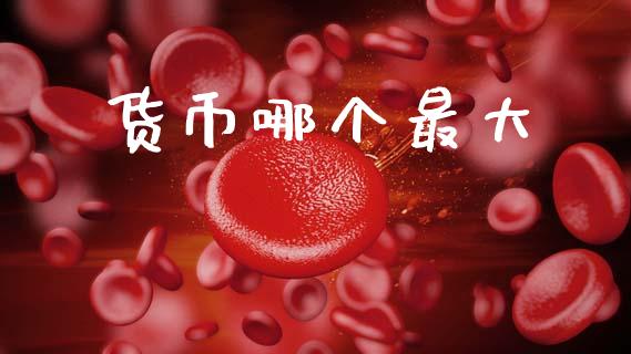 货币哪个最大_https://www.apanben.com_期货学院_第1张