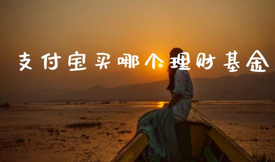 支付宝买哪个理财基金_https://www.apanben.com_国际财经_第1张