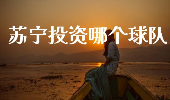 苏宁投资哪个球队_https://www.apanben.com_期货学院_第1张