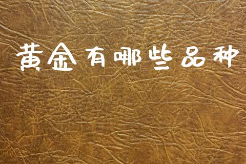 黄金有哪些品种_https://www.apanben.com_股市分析_第1张