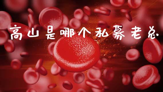 高山是哪个私募老总_https://www.apanben.com_股市分析_第1张