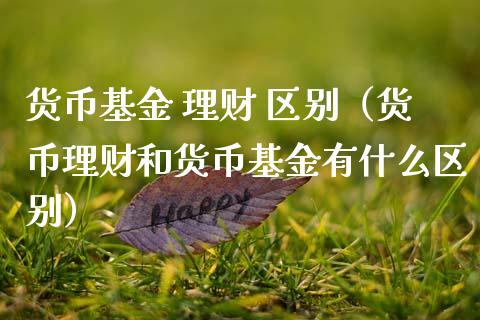 货币基金 理财 区别（货币理财和货币基金有什么区别）_https://www.apanben.com_国际财经_第1张