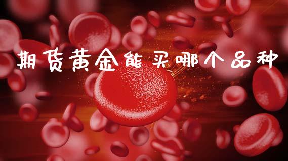 期货黄金能买哪个品种_https://www.apanben.com_国际期货_第1张