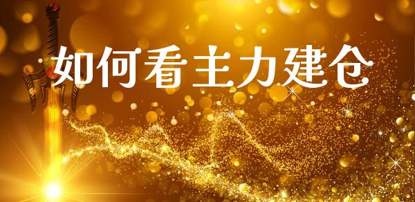 如何看主力建仓_https://www.apanben.com_股票怎么玩_第1张