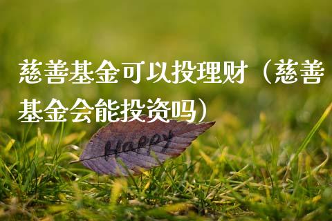 慈善基金可以投理财（慈善基金会能投资吗）_https://www.apanben.com_国际财经_第1张