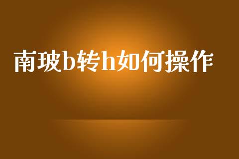 南玻b转h如何操作_https://www.apanben.com_在线喊单_第1张