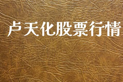 卢天化股票行情_https://www.apanben.com_股市分析_第1张