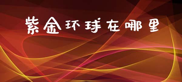 紫金环球在哪里_https://www.apanben.com_国际财经_第1张